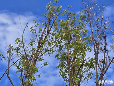【步履間的風景】+陽光灑向大地