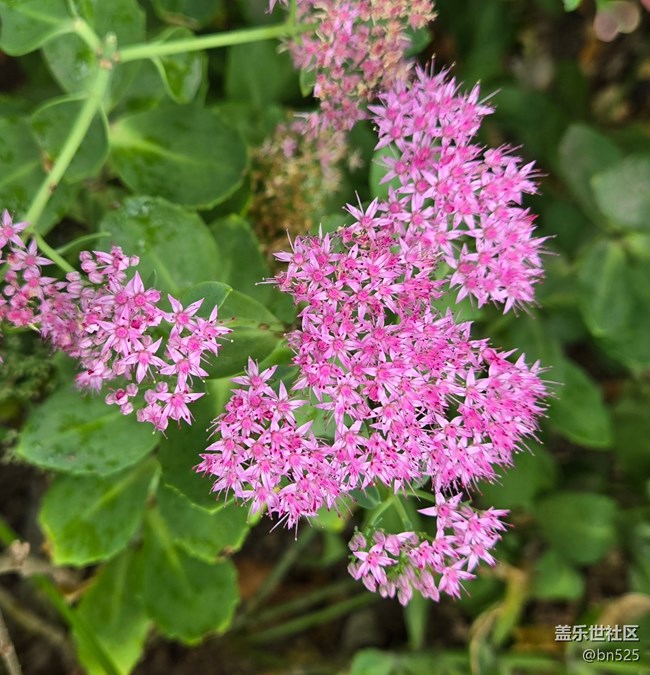 【Galaxy影像】#秋韻