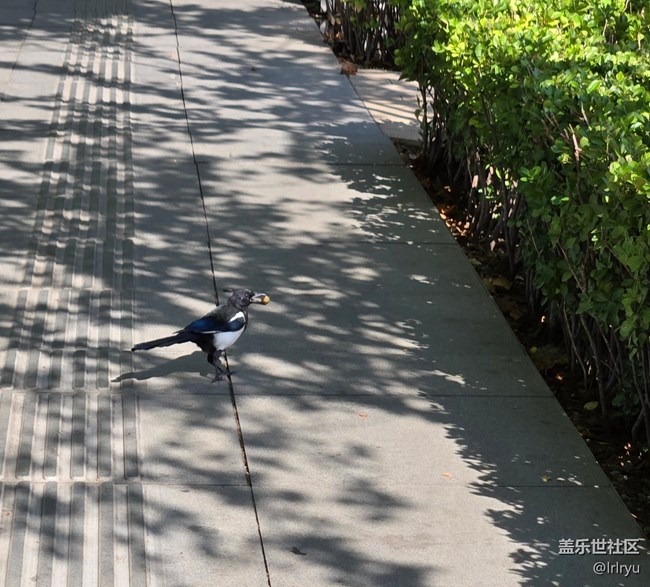 【初秋】秋日小記