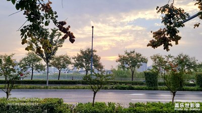 【步履間的風(fēng)景】跑步的快樂(lè)