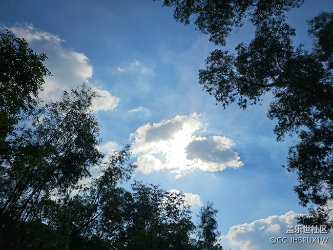 【仰望天空 】藍藍的天空
