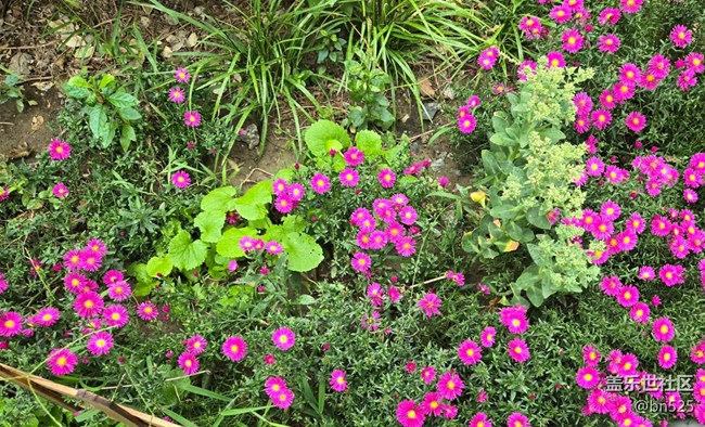 【Galaxy影像】#秋韻