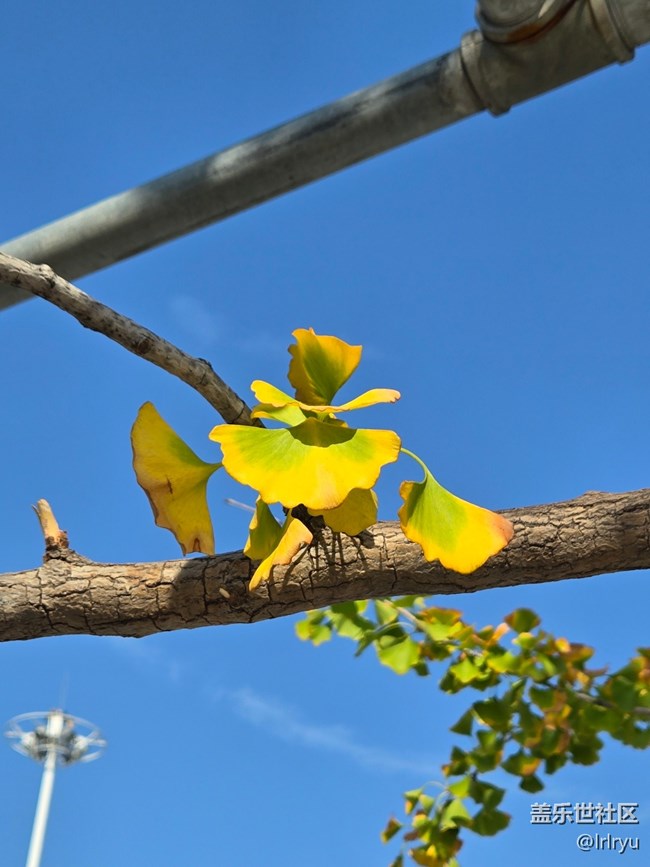 【初秋】秋日小記