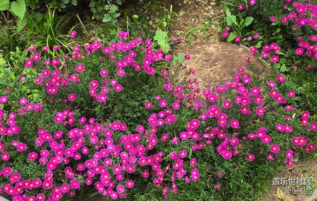 【Galaxy影像】#秋韻