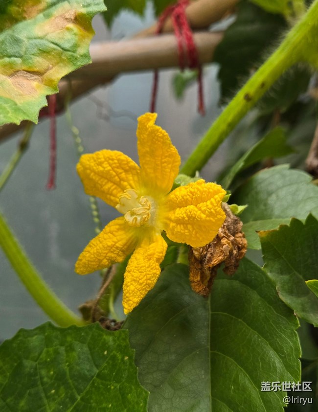 【被遺忘的角落】時(shí)光印記