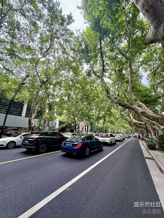 【Galaxy影像】#秋韻 游西湖