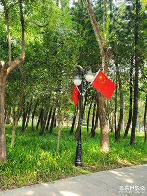 【步履間的風(fēng)景】公園美景