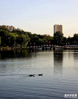 我們一起去樓下公園公園走走吧