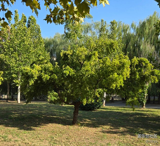 【Galaxy影像】#秋韻