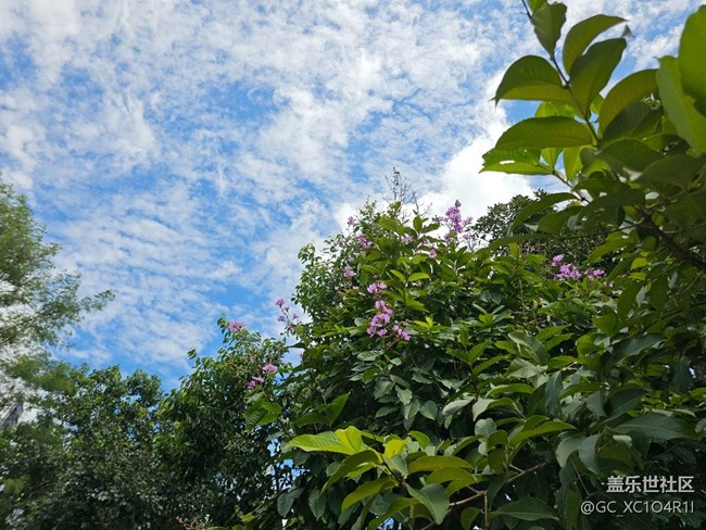 【仰望天空】天空