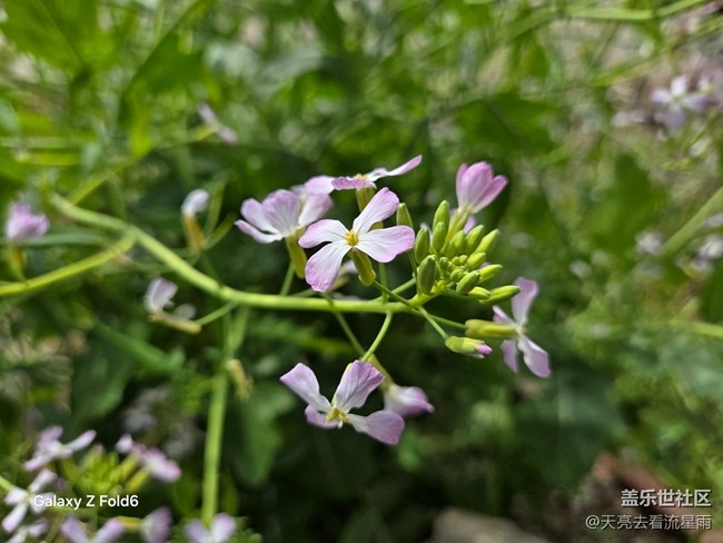 【被遺忘的角落】鄉(xiāng)村老家門前
