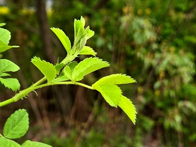 【步履間的風(fēng)景】時光切片