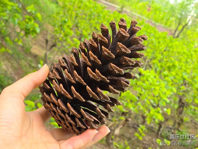 【被遺忘的角落】鄉(xiāng)村老家門前