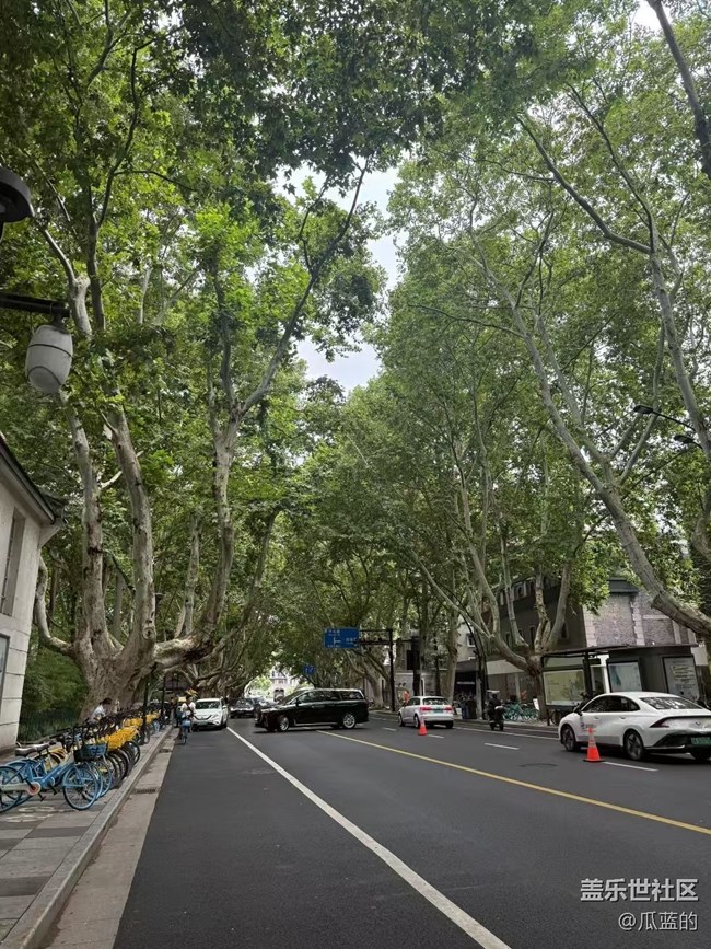 【Galaxy影像】#秋韻 游西湖