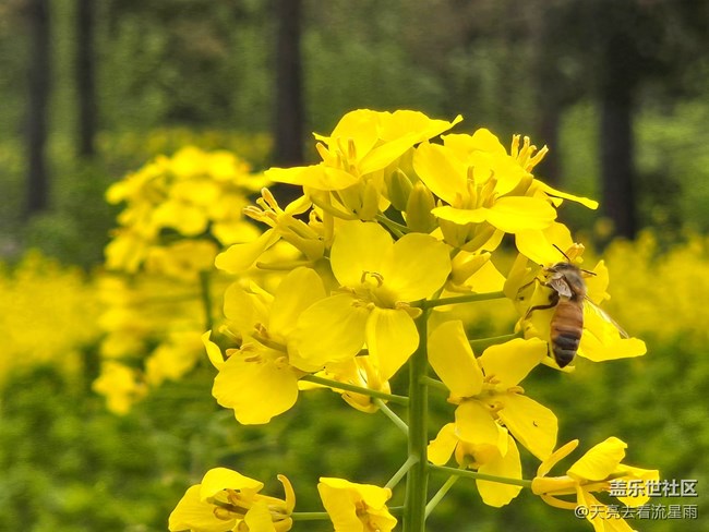 【被遺忘的角落】鄉(xiāng)村老家門前