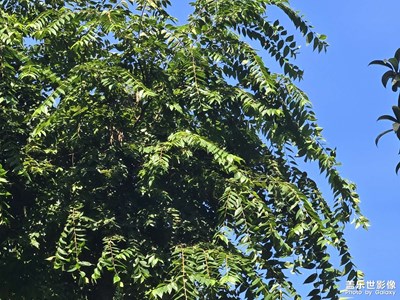 【步履間的風(fēng)景】+清爽藍(lán)天