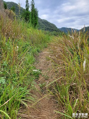 【步履間的風(fēng)景】蒿里行