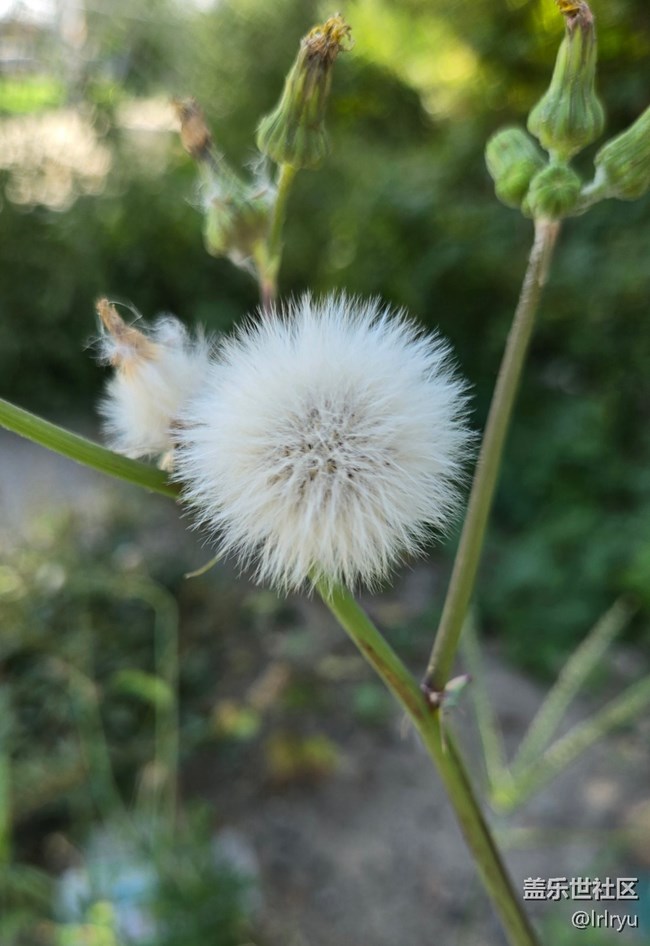 【Galaxy影像】#秋韻