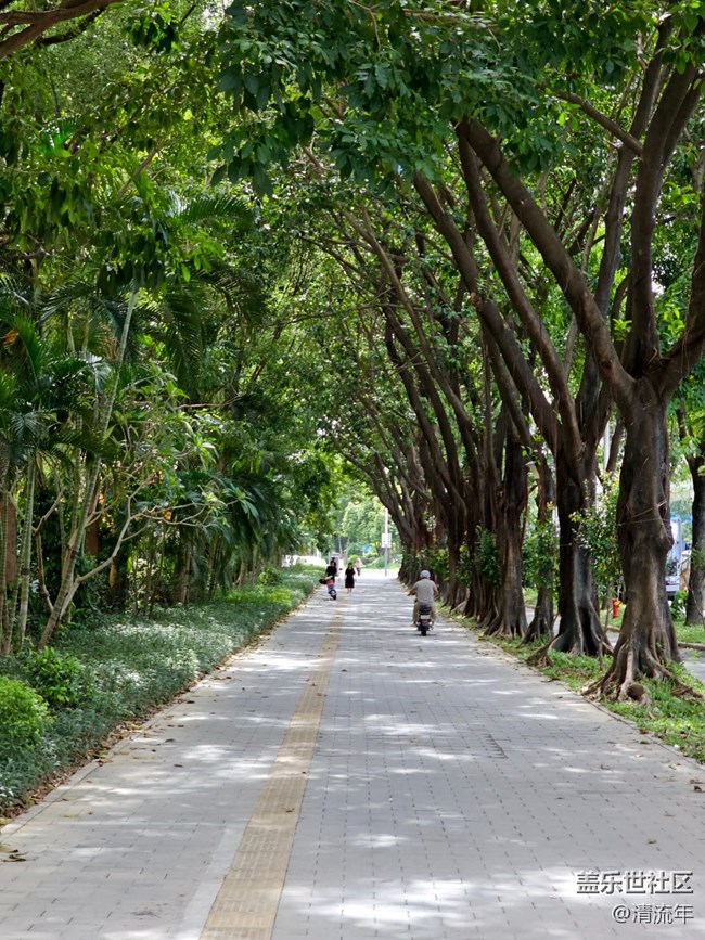 【Galaxy影像】#秋韻 初秋隨拍