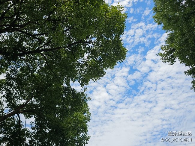 【仰望天空】天空