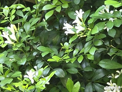 【步履間的風(fēng)景】+生命的美好