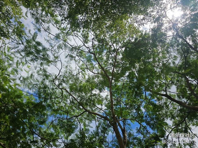 【仰望天空】天空