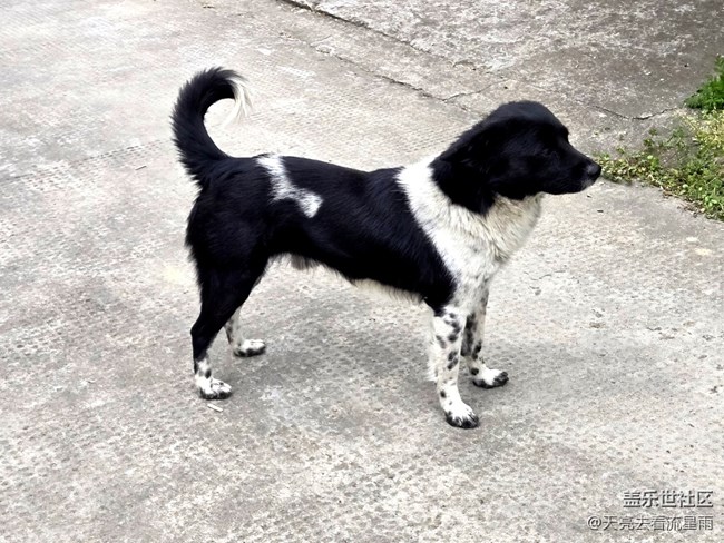 【被遺忘的角落】鄉(xiāng)村老家門前