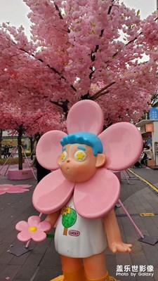 【步履間的風(fēng)景】+粉色的風(fēng)景