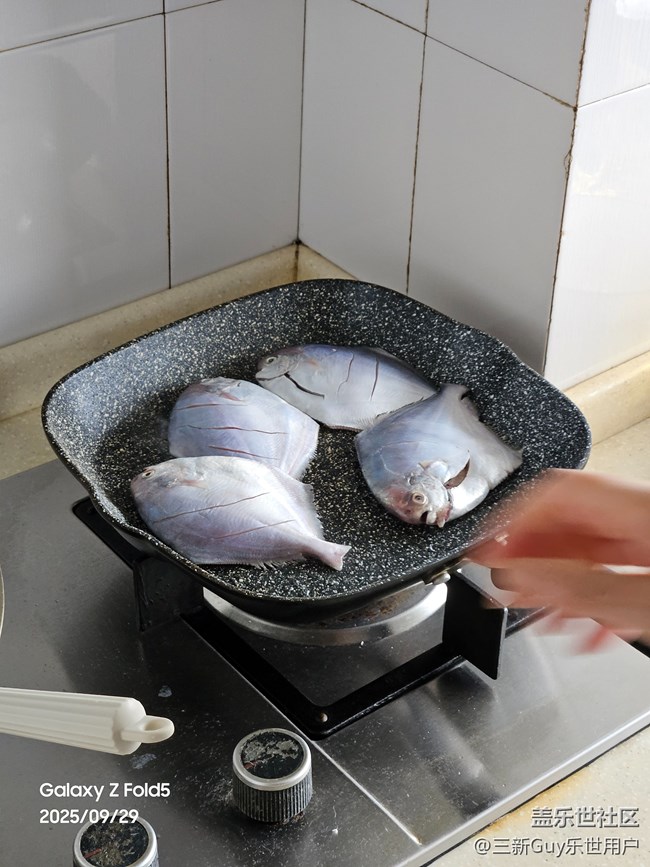 【家鄉(xiāng)美食代表】香煎鯧魚