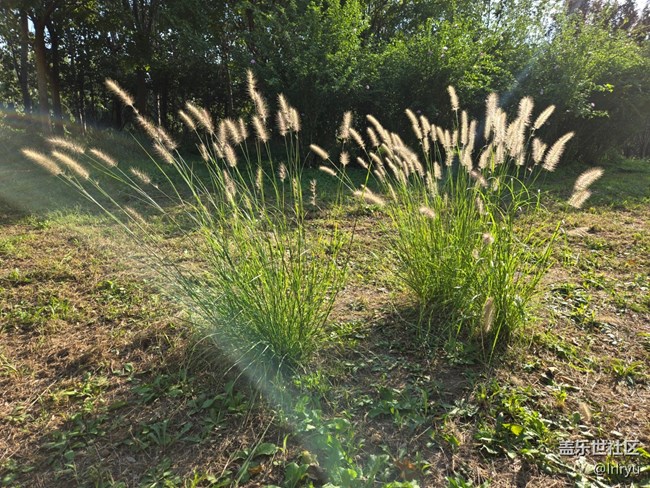 【Galaxy影像】#秋韻