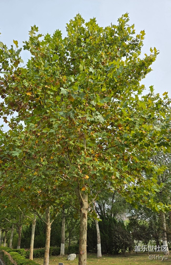 【旅途中的精彩時刻】邂逅美好