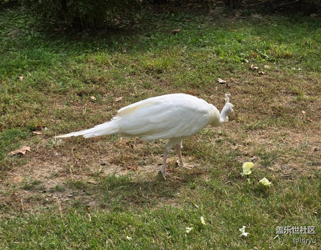 【旅途中的精彩時刻】邂逅美好