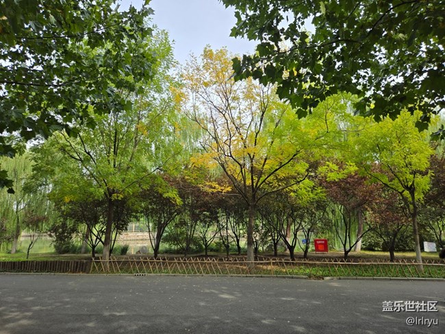 【旅途中的精彩時刻】邂逅美好