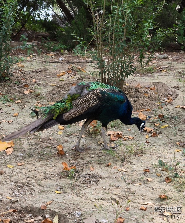【旅途中的精彩時刻】邂逅美好