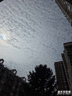 隨手拍
