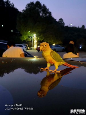 【節(jié)日里的影像】農(nóng)家樂的一天10.4