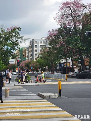 【節(jié)日里的影像】假日出門