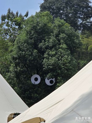 【節(jié)日里的影像】爽爽的露營天系列2