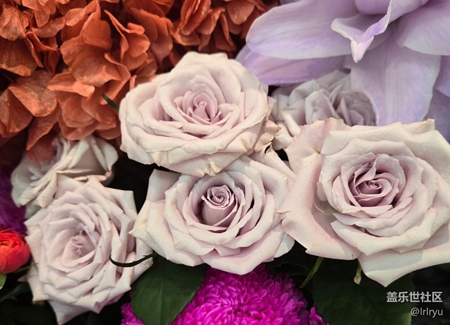 【我與蓋樂世社區(qū)】記錄美好