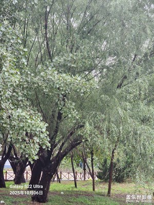 節(jié)日里的影像 假日清晨