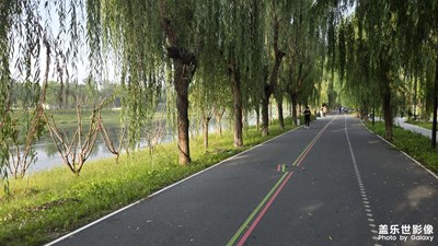 【節(jié)日里的影像】生活