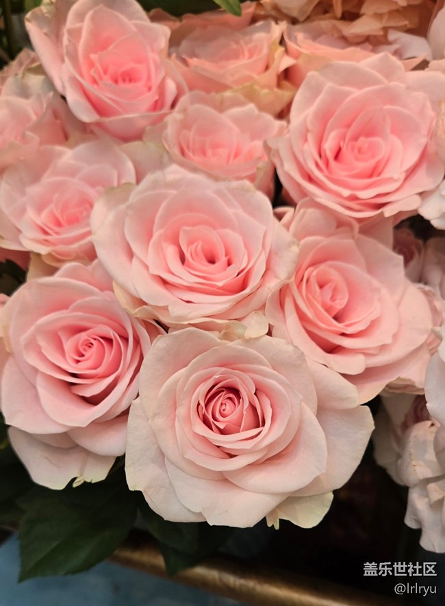 【我與蓋樂世社區(qū)】記錄美好