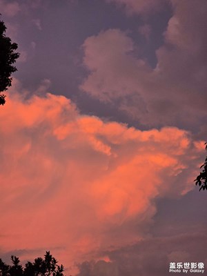 【節(jié)日里的影像】+身邊的美