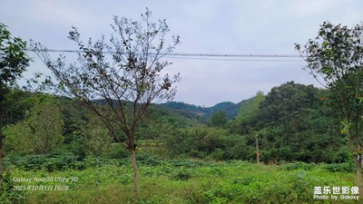 【節(jié)日里的影像】老家的中秋風(fēng)景