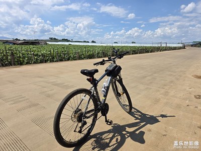 【節(jié)日里的影像】騎行隨拍