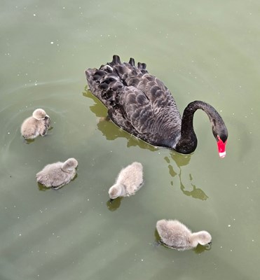 【節(jié)日里的影像】+悠閑時(shí)光