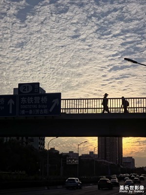 隨手拍