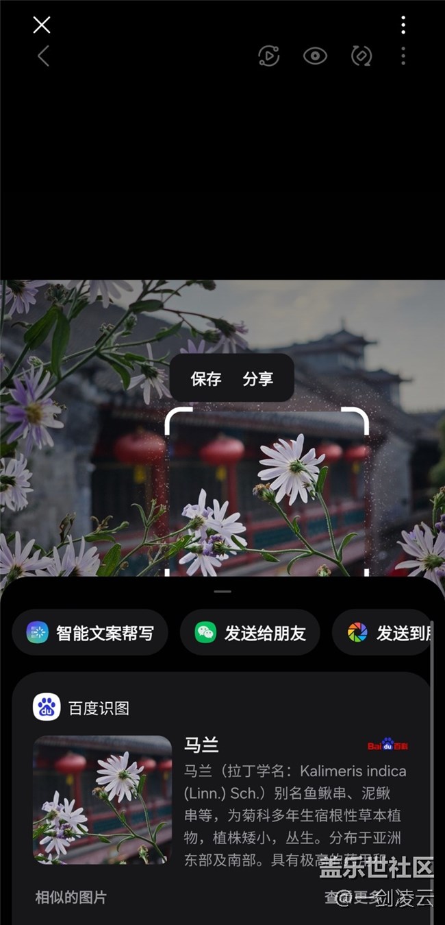 【AI琉璃廠】老北京的風(fēng)采