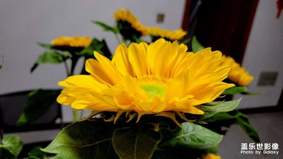 【小團(tuán)圓】+美好生活