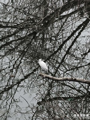 知足常樂 笑口常開 ??